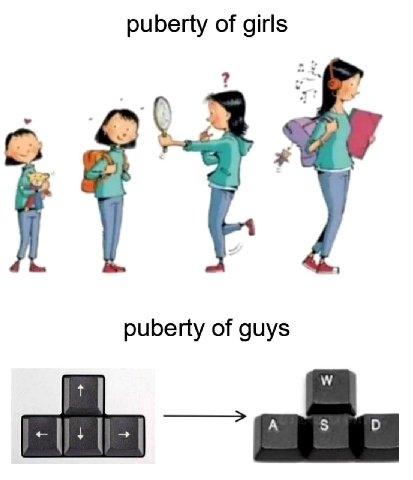 puberty of girls puberty of guys