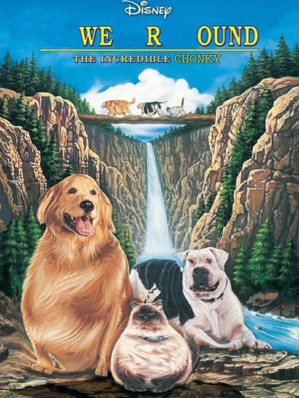 WE В OUND THE INCREDIBLE CHONKY у)