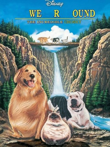 WE В OUND THE INCREDIBLE CHONKY у)