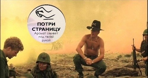 ПОТРИ СТРАНИЦУ Аромат оживет под рукой Poe 4