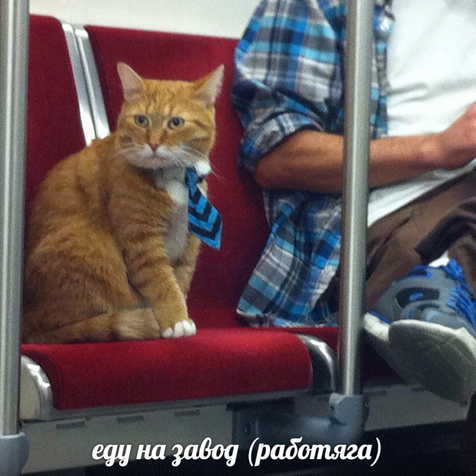 egy на завод (работяга)