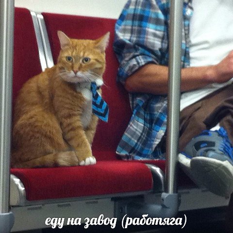 egy на завод (работяга)