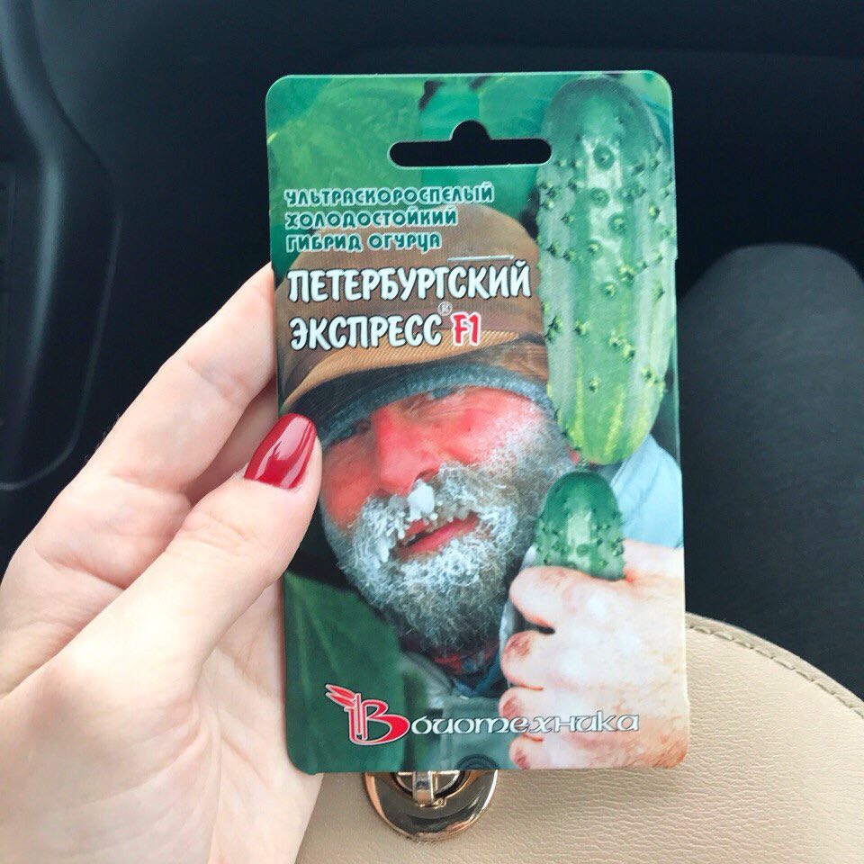 POCTIE 6 ГИБРИД. 4 С