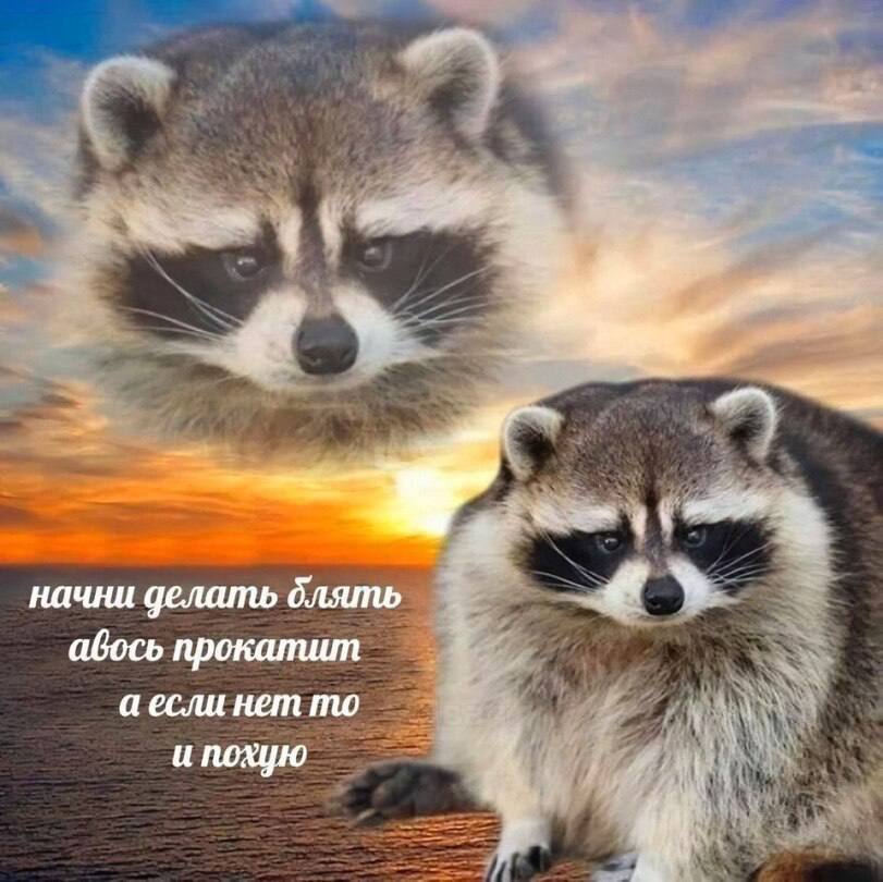 at, начни делать блять авось прокатит а если нет то и похую