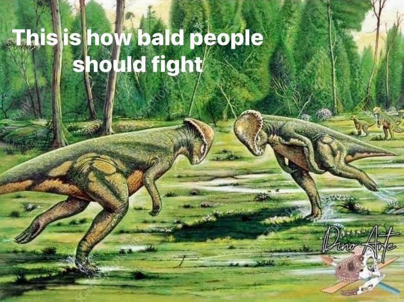 1 how hald people 4 fight