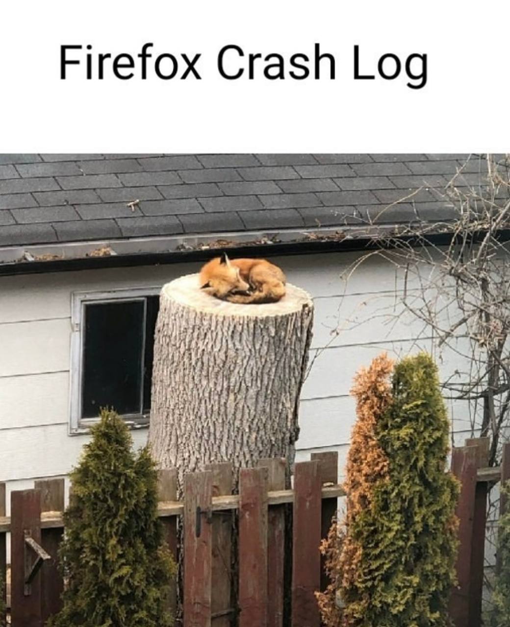 Firefox Crash Log 4