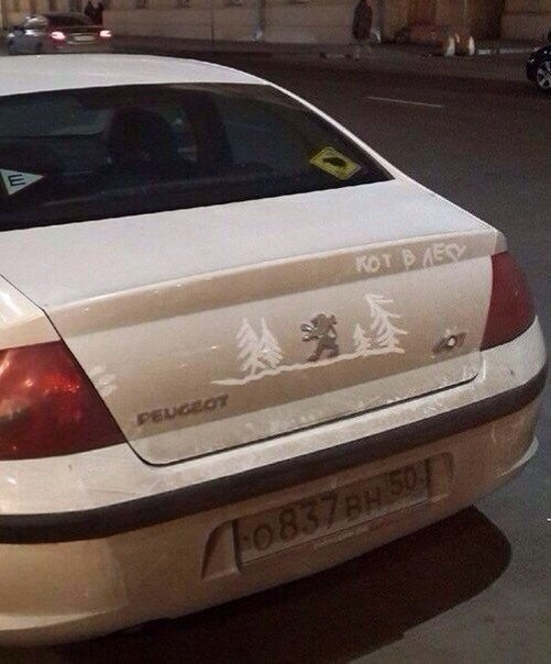 KOT