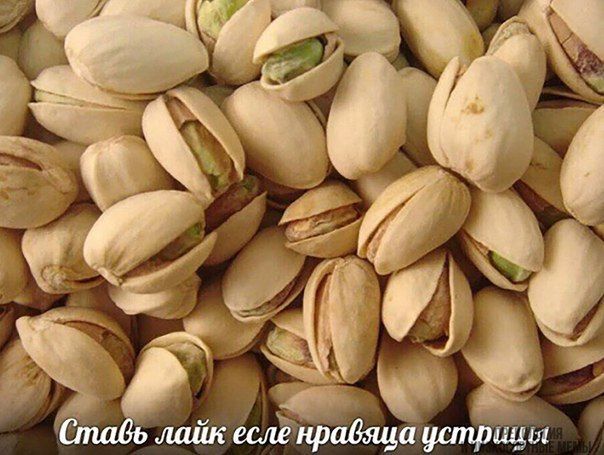 6 if Ставь лайк есле нрадяца