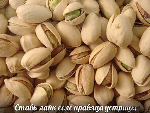 6 if Ставь лайк есле нрадяца
