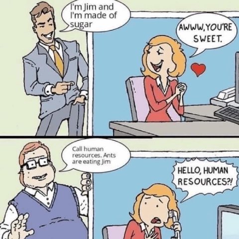 Jim and made of sugar AWWW, YOURE SWEET. “i Call human resources. Ants are eating Jim НЕ HUMAN a
