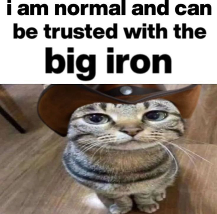iam and Can be trusted with the big iron