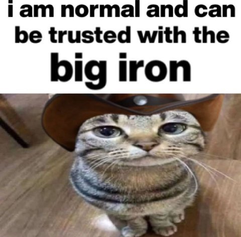 iam and Can be trusted with the big iron