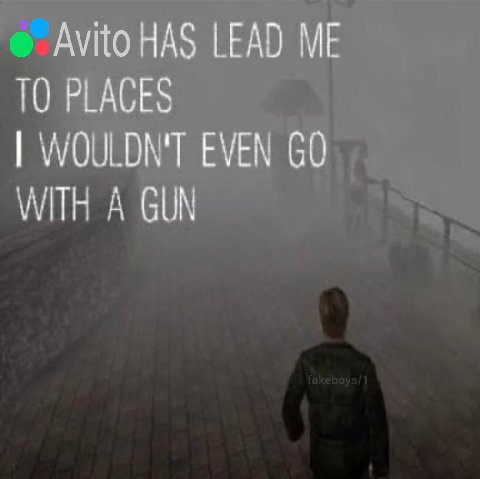 Avito HAS LEAD ME TO PLACES WOULDN'T EVEN WITH A GUN