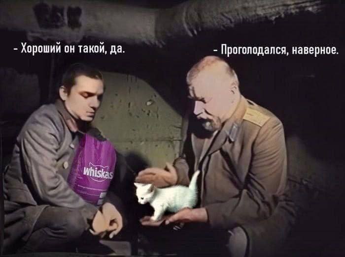 Хороший он такой, да. Проголодался, наверное.
