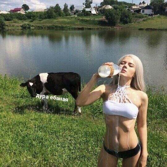 Дура ебаная