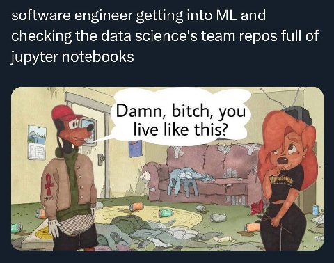 software engineer getting into and checking the data science's team repos full of jupyter notebooks Damn, bitch, like