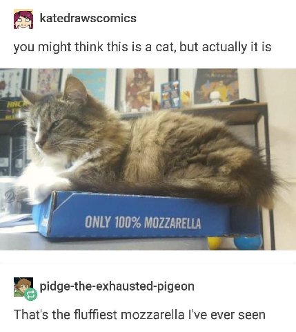 2% katedrawscomics you might think this is a cat, but actually it is ОМУ 100% MOZZARELLA pidge-the-exhausted-pigeon That's the fluffiest mozzarella I've ever seen