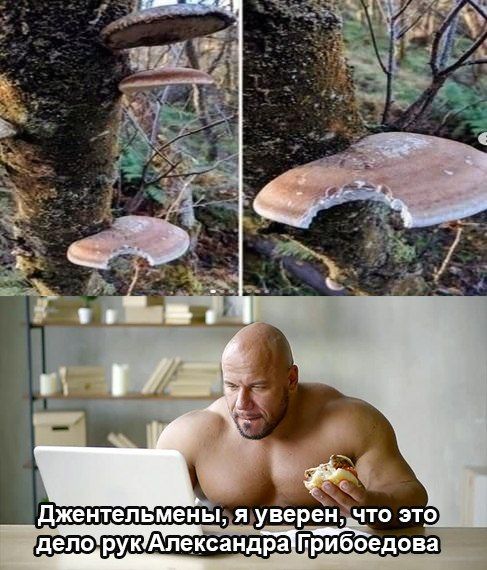 2 a Джентельмены, я уверен, что это, дело,рук Грибоедова