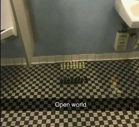 Open world