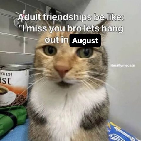 ‘Adult friendships be like: you bro lets hang outin August