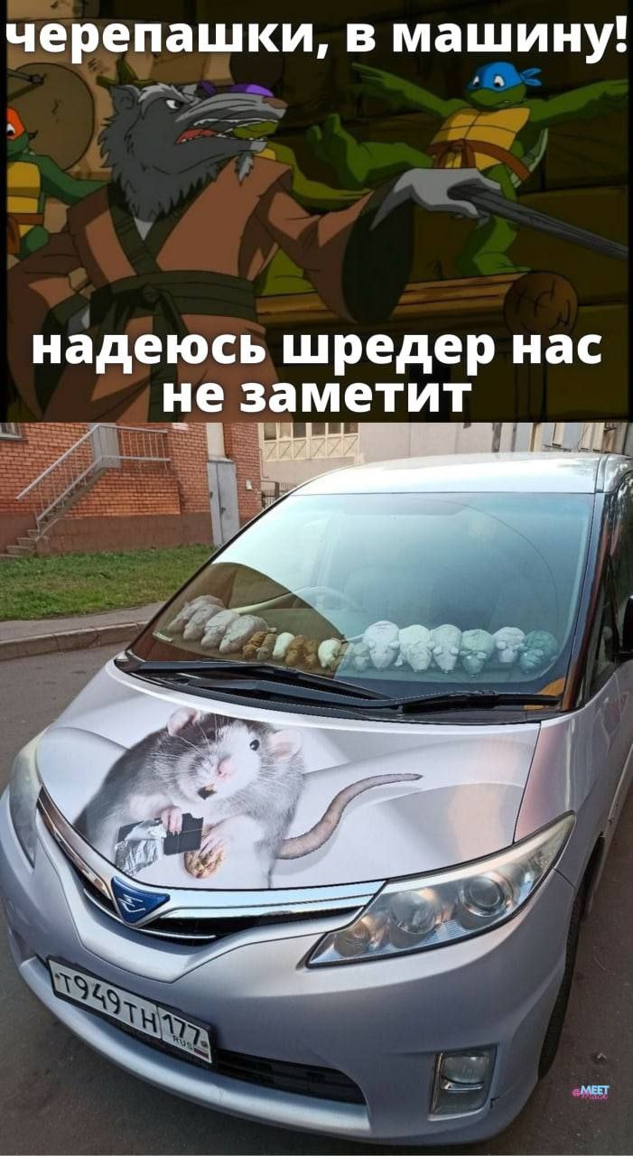 черепашки, в машину! надеюсь шредер нас не заметит