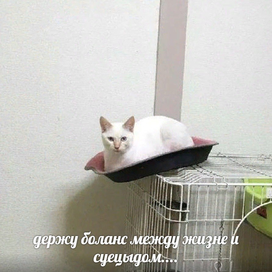 if 4 И держу $8 Tithe eee