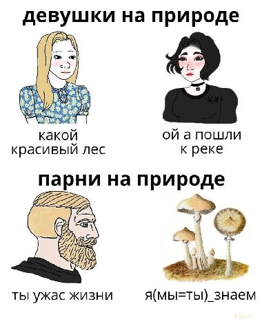 девушки на природе a какой апошли красивый лес к реке парни на природе ты ужас жизни я(мы=ты)_знаем