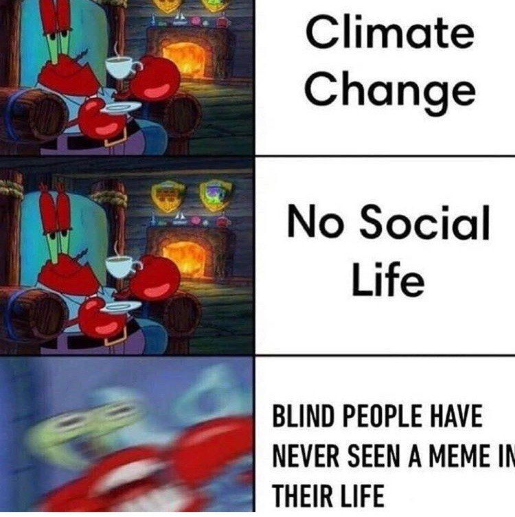 И No Social BLIND PEOPLE HAVE NEVER SEEN А MEME THEIR LIFE