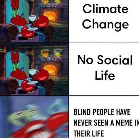 И No Social BLIND PEOPLE HAVE NEVER SEEN А MEME THEIR LIFE