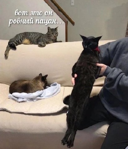 вот это он пацан...