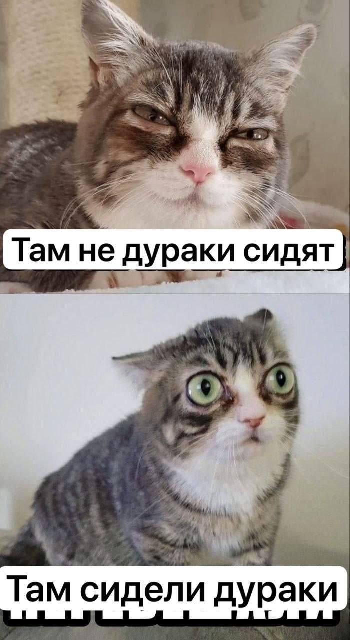 Там не дураки сидят Там сидели дураки