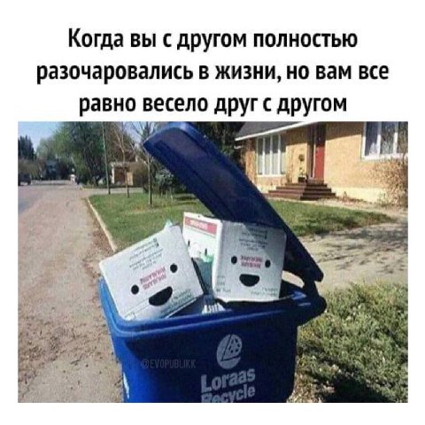 Когда вы с другом полностью разочаровались в жизни, но Вам все равно весело друг с другом А