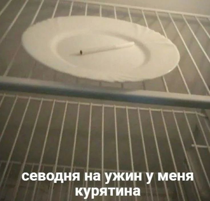 севодня на ужин у меня курятина