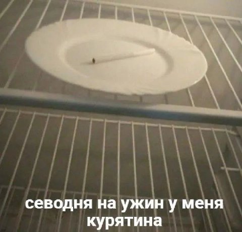 севодня на ужин у меня курятина
