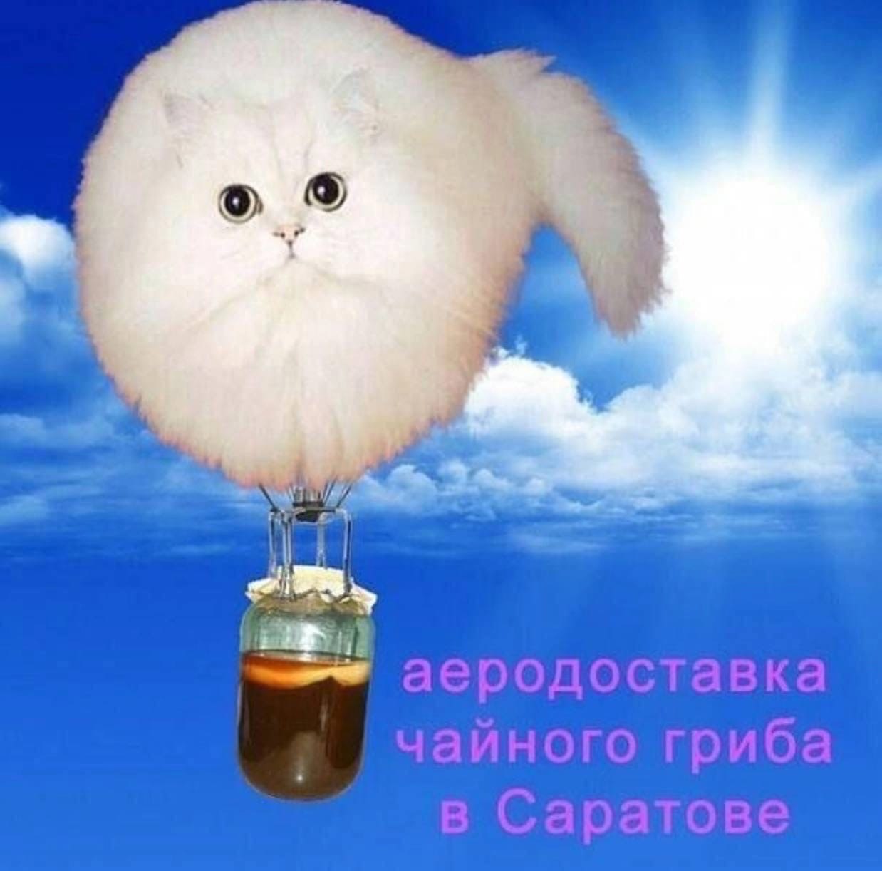 ® 9 ’ ` J = чз > fe Е ' Pe | же . 9/7 _ i = ` ыы ег арии a Фр | a | { =, ы —