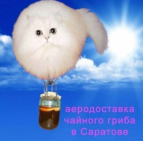 ® 9 ’ ` J = чз > fe Е ' Pe | же . 9/7 _ i = ` ыы ег арии a Фр | a | { =, ы —