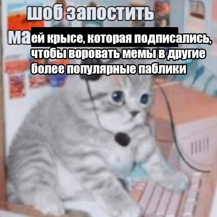 об запостить Чей крысе, которая подписались воровать мемы в другие более популярные паблики