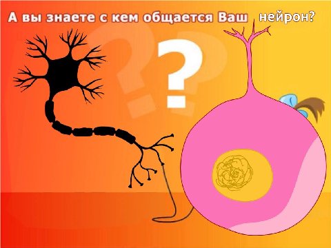 А вы знаете с кем общается Ваш нейрон?