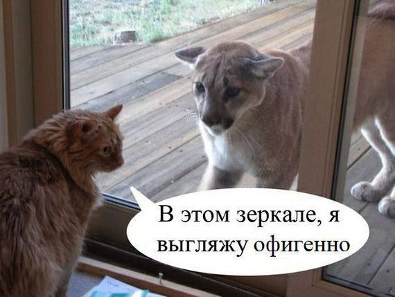 `В этом зеркале, я выгляжу офигенно
