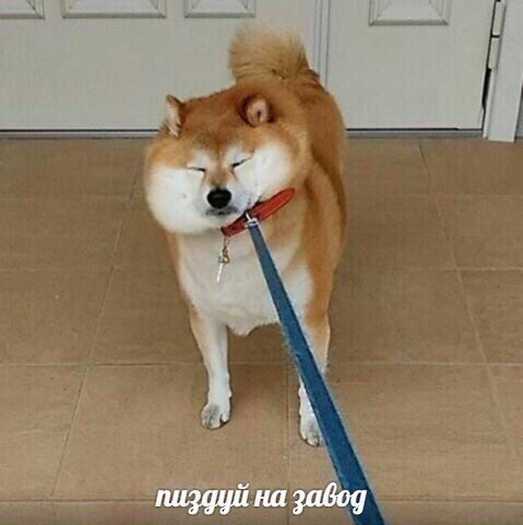 на