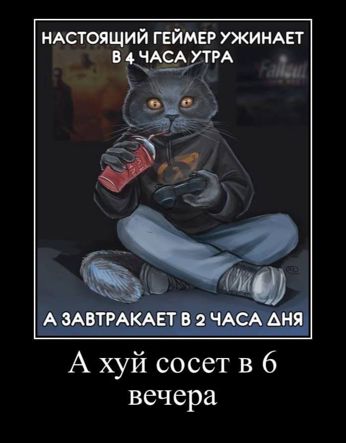 НАСТОЯЩИЙ ГЕЙМЕР УЖИНАЕТ В 4 ЧАСА УТРА А ЗАВТРАКАЕТ В 2 ЧАСА АНЯ А хуй сосетв 6 вечера