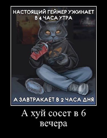 НАСТОЯЩИЙ ГЕЙМЕР УЖИНАЕТ В 4 ЧАСА УТРА А ЗАВТРАКАЕТ В 2 ЧАСА АНЯ А хуй сосетв 6 вечера
