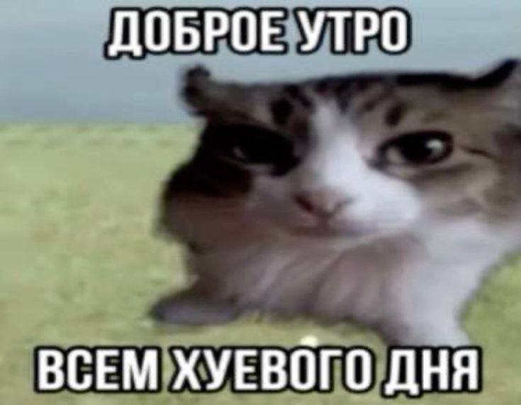 ДОБРОЕ УТРО ВСЕМ ХУЕВОГО OHA
