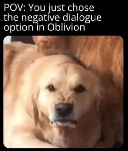 POV: You just chose the negative dialogue option in Oblivion a