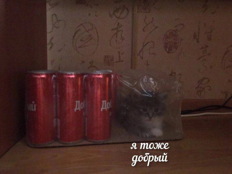 я тоже