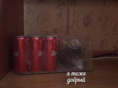 я тоже