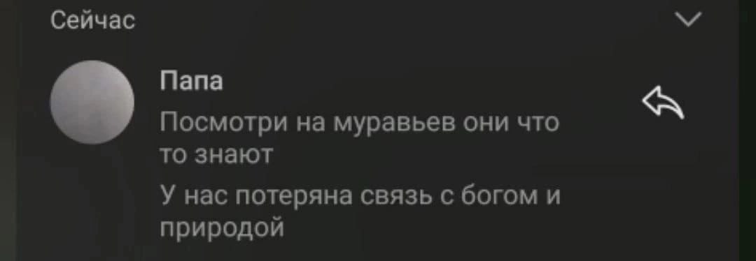 Сейчас Mana Посмотри на муравьев они что то знают У нас потеряна связь с богом и природой