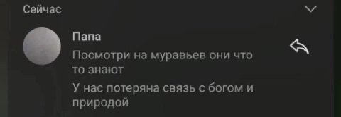 Сейчас Mana Посмотри на муравьев они что то знают У нас потеряна связь с богом и природой