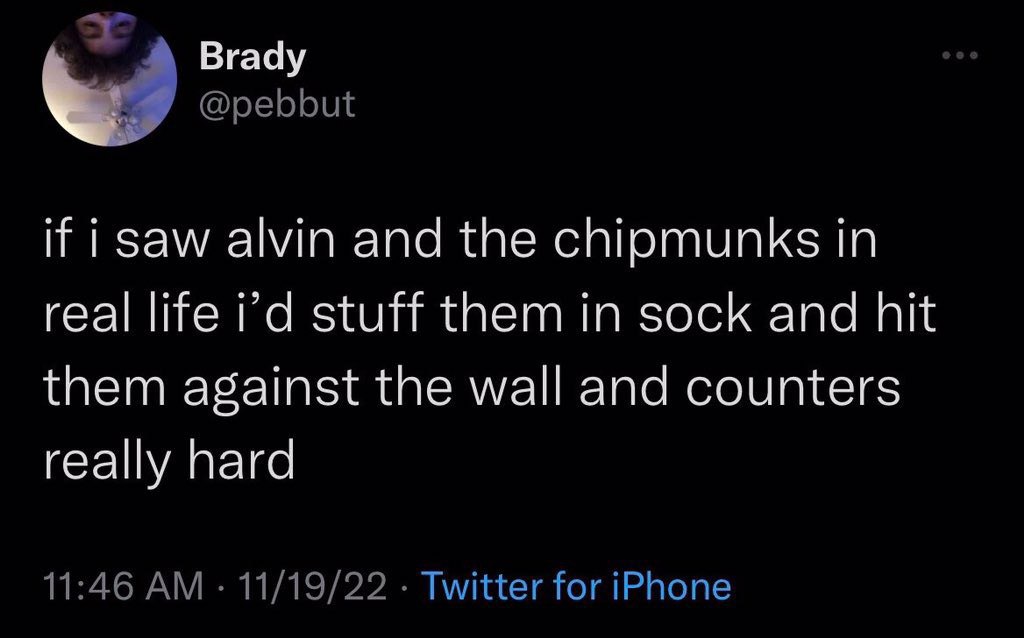 Brady @pebbut if i saw alvin and the chipmunks in real life stuff them in sock and hit them against the wall and counters really hard 11:46 11/19/22 Twitter for iPhone
