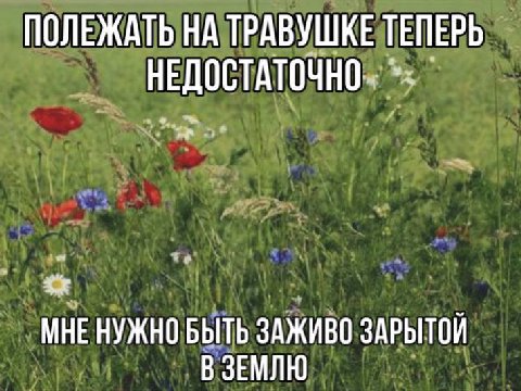 ПОЛЕЖАТЬ НА ТРАВУШКЕ ТЕПЕРЬ НЕДОСТАТОЧНО МНЕ НУЖНО БЫТЬ ЗАЖИВО ЗАРЫТОЙ В ЗЕМЛЮ